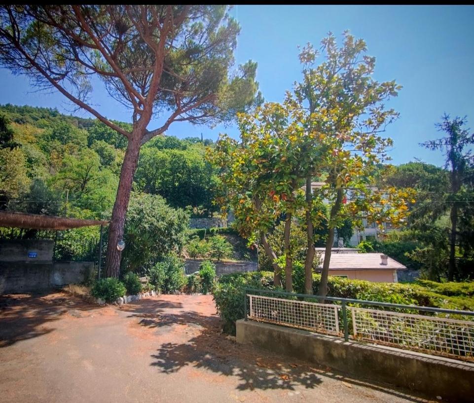 Forti Genova-Free Parking Castellaccio Apartment エクステリア 写真